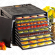 Excalibur 3926TB Food Dehydrator | $192 | Amazon